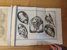 Elementi d'Ostetricia TAVOLE ANATOMICHE Röderer Johann Georg Firenze Albizziana