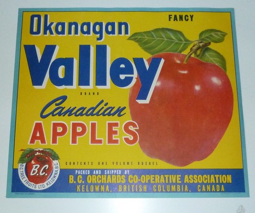 Scatola cassa frutta vintage