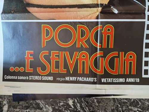 Porca selvaggia miss - e,