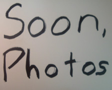 Regina Extra Oro Gold 14T-20T