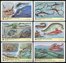 FIGURINE LAVAZZA - N° 262 - VITA MERAVIGLIOSA DI PESCI ASTUTI