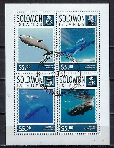 Animali balene salmone 2014 - balene,