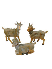 Capre Fontanini per Pastori