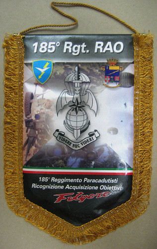 Gagliardetto 185 reggimento - gagliardetto,