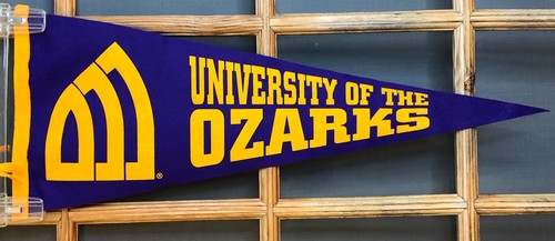 Banner pennant feltro oro - in,