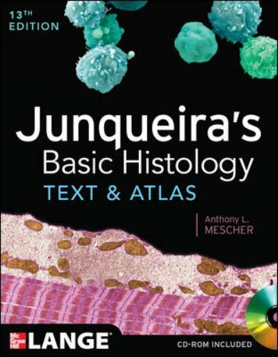 Junqueira basic histology - junqueira's,