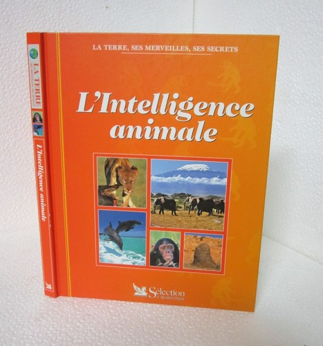 Intelligence animale la - animale.,