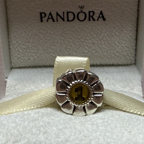 222a nwot auth pandora - nwot,