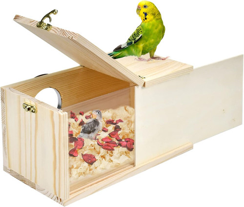 Box nido pappagallo