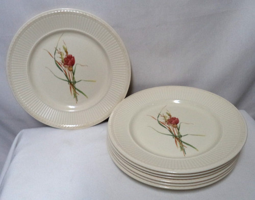Wedgwood queen ware - queen's,