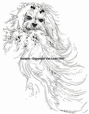 Stampa mendicante maltese di