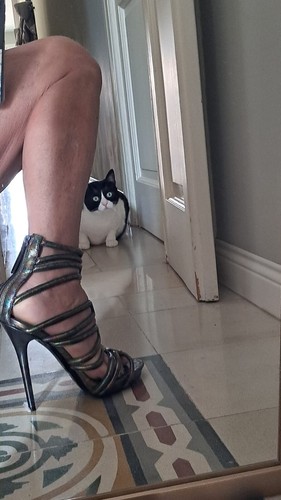 Sandali donna tacco alto - tacco, nuove