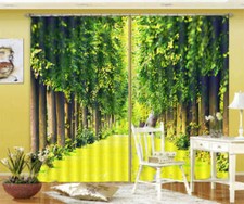 Alberi Ad Alto Fusto Pulito 3D
