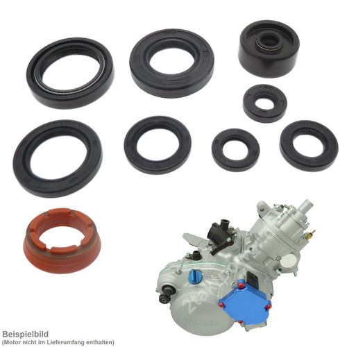 Kit guarnizioni albero - , motore