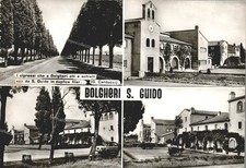 dp553 cartolina bolgheri san guido,provincia di livorno