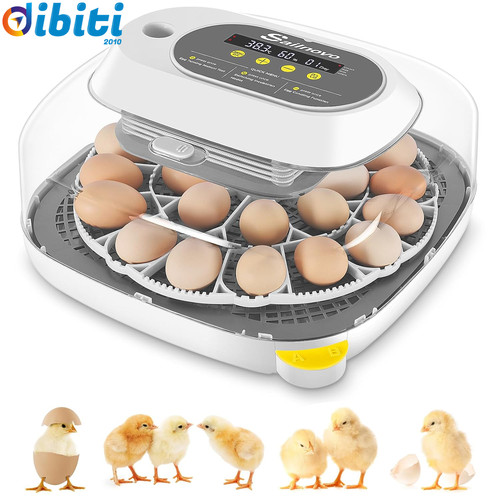 Incubatrice per uova - 24,