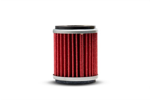 Filtro olio peperoncino rosso - peperoncino,