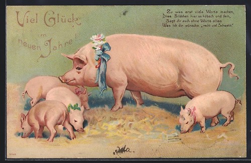 Scrofa decorata con quattro