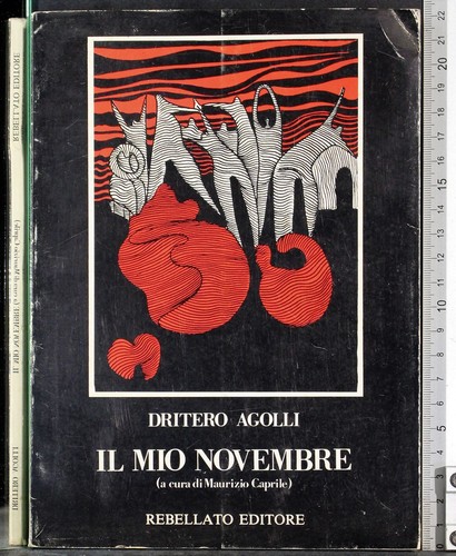 Mio novembre dritero - il, novembre.
