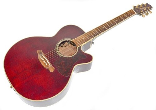 Takamine dmp551c chitarra - takamine,