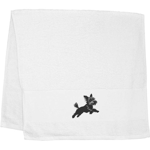 Yorkshire terrier jumping - 'yorkshire, '