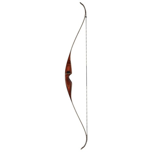Orso tiro con arco grizzly - orso,