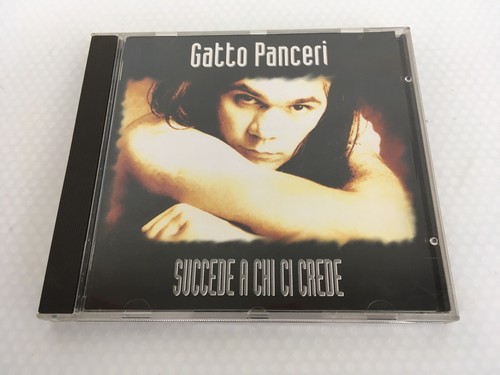 Gatto panceri succede a - succede,