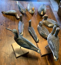 Collezione di antichi uccelli da richiamo 