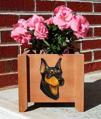 Fioriera doberman pinscher - doberman,