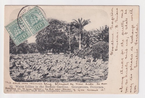 Cartolina kgv guyana - cartolina,