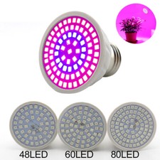 Luce led coltivazione - , piante
