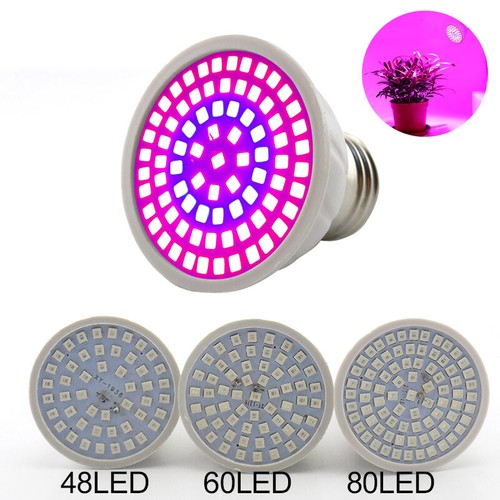 Luce led coltivazione piante