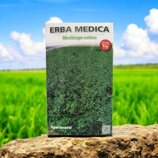Sementi Erba Medica varietà "Maraviglia" kg 1