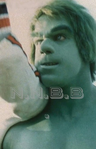Lou ferrigno the incredible - ferrigno,