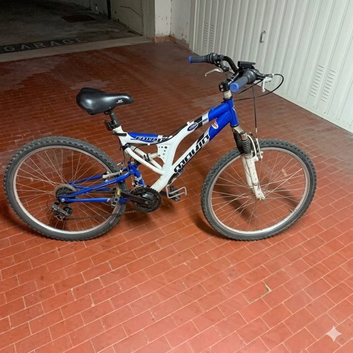 Mountain bike biammortizzata