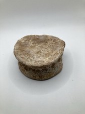 Plesiosauro vertebra - 4,7,
