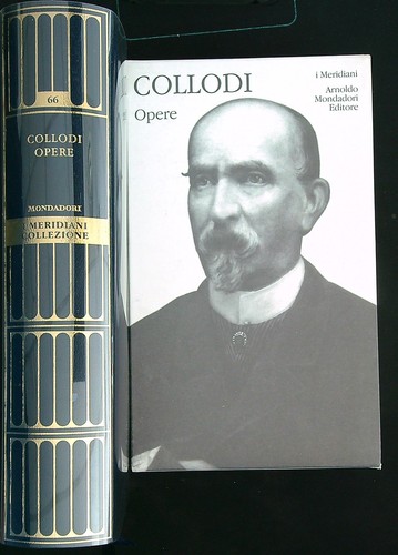 Opere supp panorama collodi - supp,