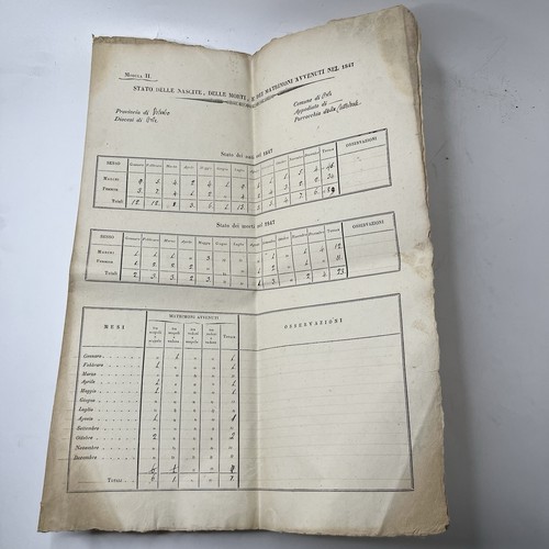 Documento storico demografico - documento,