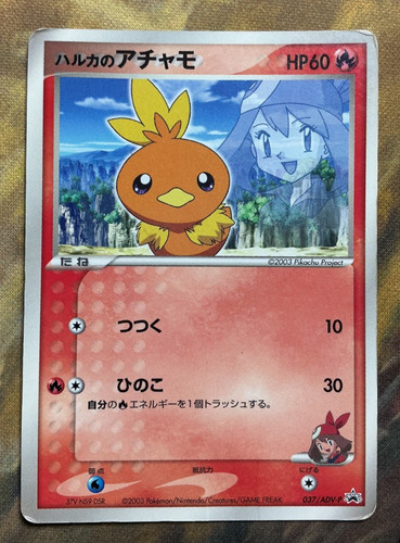 Pokemon torchic maggio - torchic, di