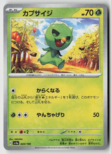 Capsakid 020 190 - (specchio), 020/190