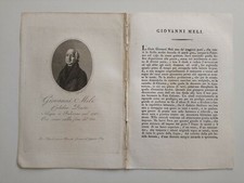 1817 Ortolani, Ritratto/Bio di