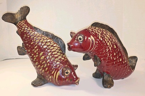 Raro pesce koi - , saltante