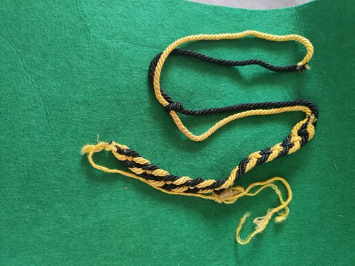 Cordelline alta uniforme - alta,