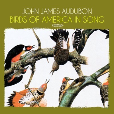 Birds america song - of,