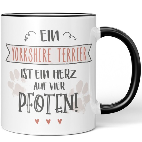 Uno yorkshire terrier un - terrier, è