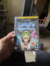 Luigi mansion nintendo - luigi's,