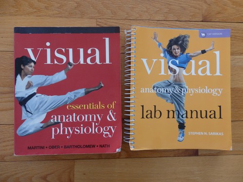Visual essentials anatomy - anatomy, &