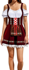 Abito Tradizionale Dirndl