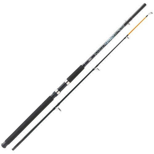 Mitchell catch boat rod - catch,