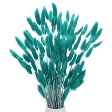 Confezione 120 Erba Coda di